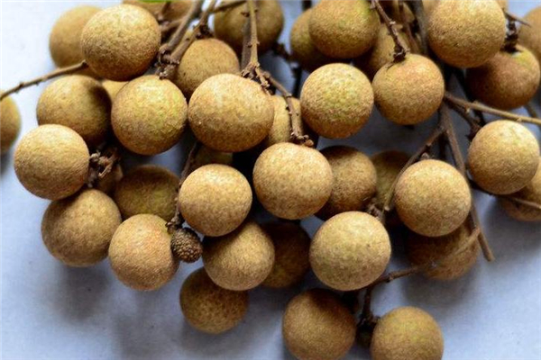 桂圓糖尿病人能吃嗎 對病情不利 桂圓糖尿病人能吃嗎 對病情不利