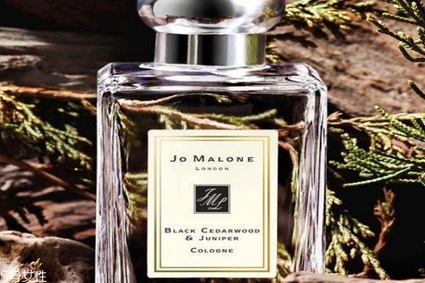 雪松味香水有哪些 雪松味香水推薦 雪松味香水有哪些 雪松味香水推薦