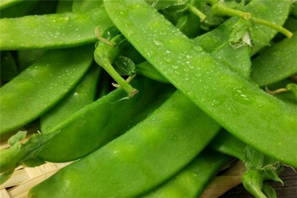 荷蘭豆炒臘腸的做法 經(jīng)典家常菜 荷蘭豆炒臘腸的做法 經(jīng)典家常菜