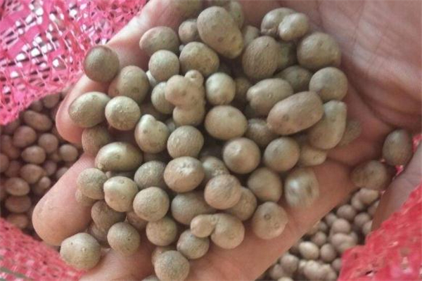 山藥豆可以曬干吃嗎 口感不太好 山藥豆可以曬干吃嗎 口感不太好