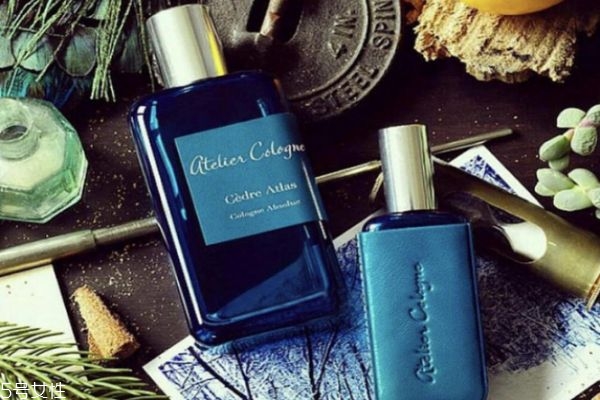 雪松味香水有哪些 雪松味香水推薦 雪松味香水有哪些 雪松味香水推薦