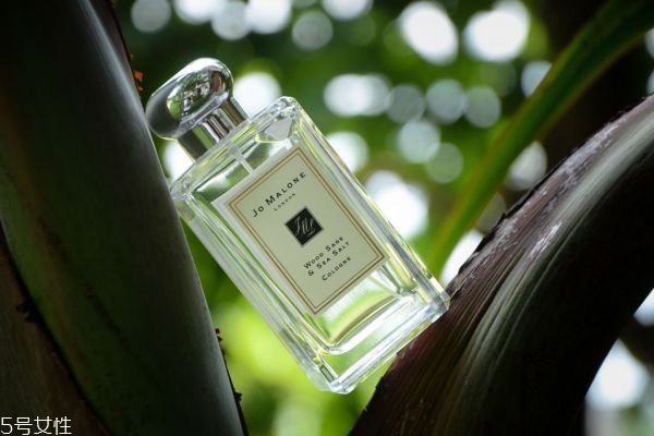 鼠尾草味道的香水有哪些 鼠尾草味的香水 鼠尾草味道的香水有哪些 鼠尾草味的香水