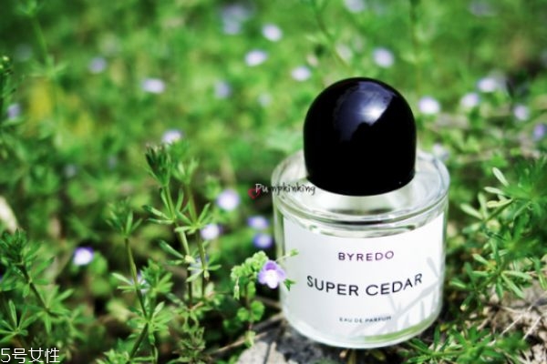 雪松味香水有哪些 雪松味香水推薦 雪松味香水有哪些 雪松味香水推薦