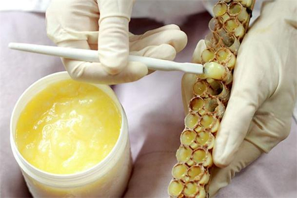 蜂王漿每次吃多少合適 不能吃太多 蜂王漿每次吃多少合適 不能吃太多