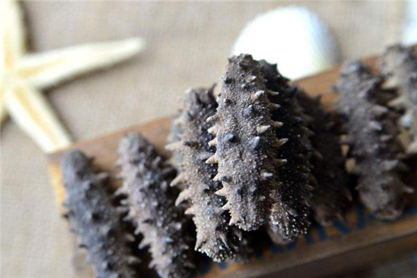 減肥的人能吃海參嗎 熱量非常低 減肥的人能吃海參嗎 熱量非常低