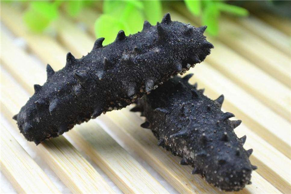 海參和花膠可以一起燉嗎 味道很鮮美 海參和花膠可以一起燉嗎 味道很鮮美