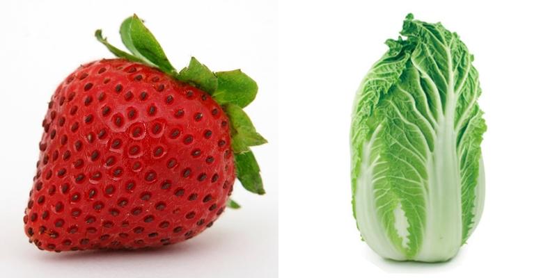 蔬果正確的保存方法 正確保鮮法學(xué)起來 蔬果正確的保存方法 正確保鮮法學(xué)起來