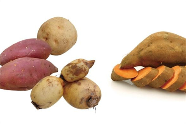 蔬果正確的保存方法 正確保鮮法學(xué)起來 蔬果正確的保存方法 正確保鮮法學(xué)起來