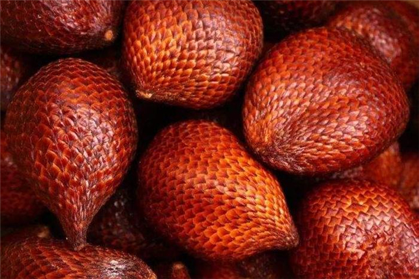 蛇皮果為什么有酒精味 是正常現(xiàn)象 蛇皮果為什么有酒精味 是正?,F(xiàn)象