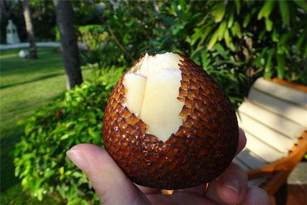 蛇皮果一天能吃幾個 不宜太過量 蛇皮果一天能吃幾個 不宜太過量