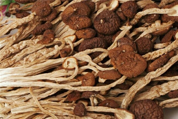 哺乳期能吃茶樹菇嗎 對(duì)身體很好 哺乳期能吃茶樹菇嗎 對(duì)身體很好