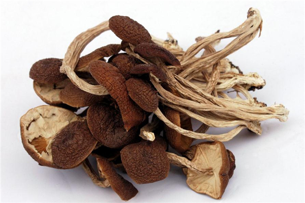 哺乳期能吃茶樹菇嗎 對(duì)身體很好 哺乳期能吃茶樹菇嗎 對(duì)身體很好