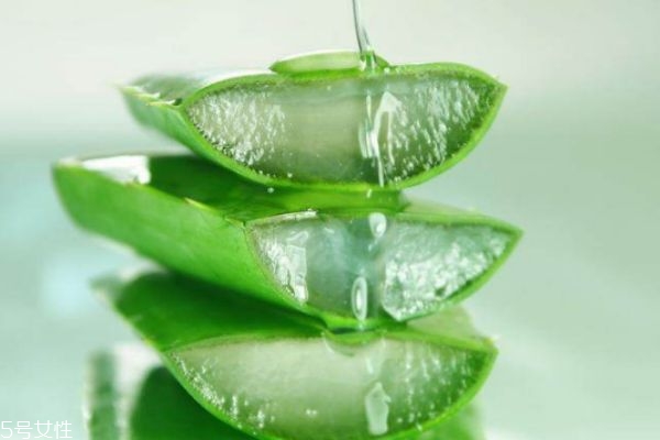 蘆薈膠能去痘印嗎 蘆薈膠去痘印有用嗎 蘆薈膠能去痘印嗎 蘆薈膠去痘印有用嗎