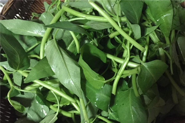 空心菜什么季節(jié)有 夏季比較常見 空心菜什么季節(jié)有 夏季比較常見