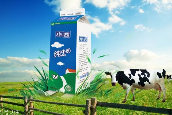 海藻面膜用哪種牛奶好 海藻面膜加牛奶的作用 海藻面膜用哪種牛奶好 海藻面膜加牛奶的作用