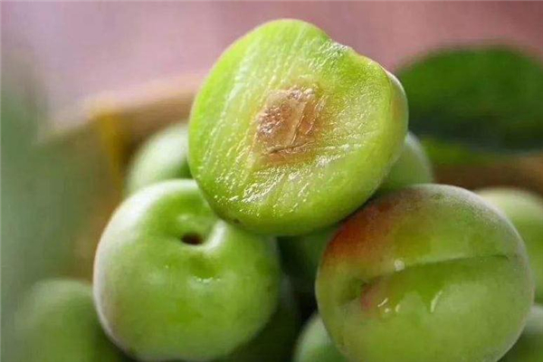 青梅可以生吃嗎 大量補充維生素 青梅可以生吃嗎 大量補充維生素