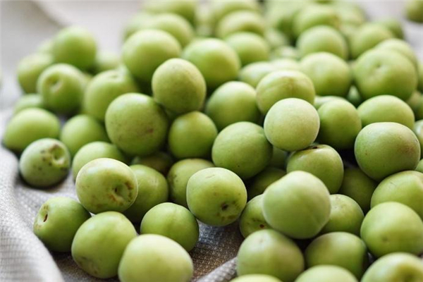 青梅幾月份上市 這個時候最好吃 青梅幾月份上市 這個時候最好吃