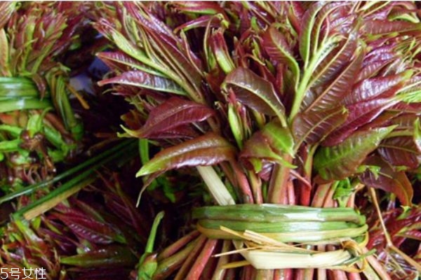 香椿的功效和作用 香椿的營養(yǎng)價(jià)值