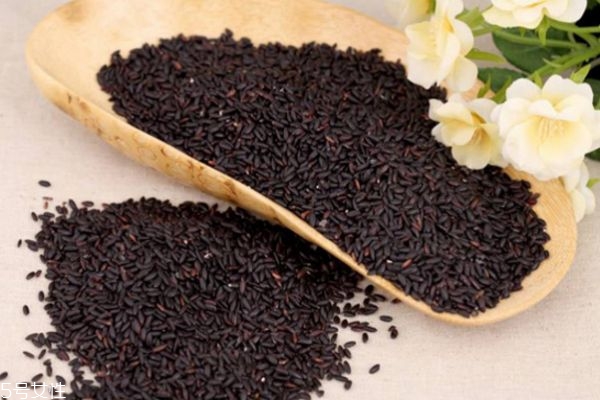 吃黑米粥會(huì)上火嗎 黑米的功效與作用 吃黑米粥會(huì)上火嗎 黑米的功效與作用