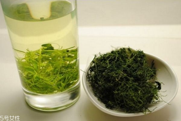 絞股藍有減肥功效嗎 喝絞股藍茶需注意 絞股藍有減肥功效嗎 喝絞股藍茶需注意