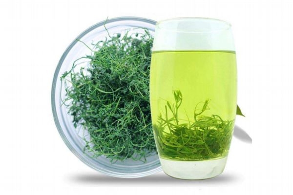 絞股藍(lán)龍須茶降血壓嗎 絞股藍(lán)茶正確的飲用方法 絞股藍(lán)龍須茶降血壓嗎 絞股藍(lán)茶正確的飲用方法