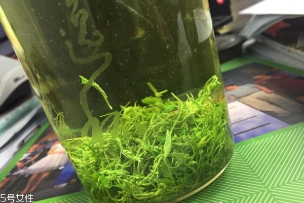 絞股藍(lán)龍須茶降血壓嗎 絞股藍(lán)茶正確的飲用方法 絞股藍(lán)龍須茶降血壓嗎 絞股藍(lán)茶正確的飲用方法