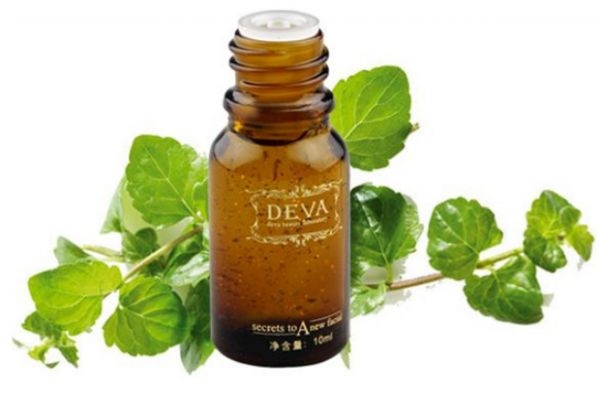 檀香精油哪個牌子好 檀香精油的功效與用法用量 檀香精油哪個牌子好 檀香精油的功效與用法用量