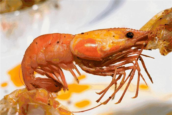 大頭蝦多少錢一斤 大頭蝦市場價格 大頭蝦多少錢一斤 大頭蝦市場價格