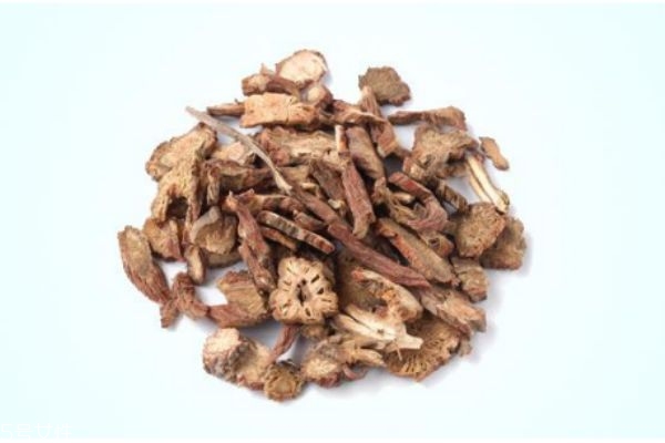 丹參的副作用 丹參的注意事項 丹參的副作用 丹參的注意事項