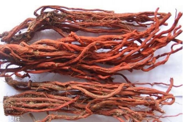 丹參的副作用 丹參的注意事項 丹參的副作用 丹參的注意事項