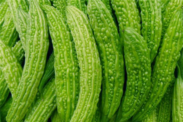 吃苦瓜胃疼怎么回事 吃苦瓜胃疼的原因 吃苦瓜胃疼怎么回事 吃苦瓜胃疼的原因