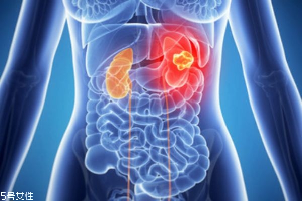 肝腎病可能出現(xiàn)的癥狀 肝腎如何排毒 肝腎病可能出現(xiàn)的癥狀 肝腎如何排毒