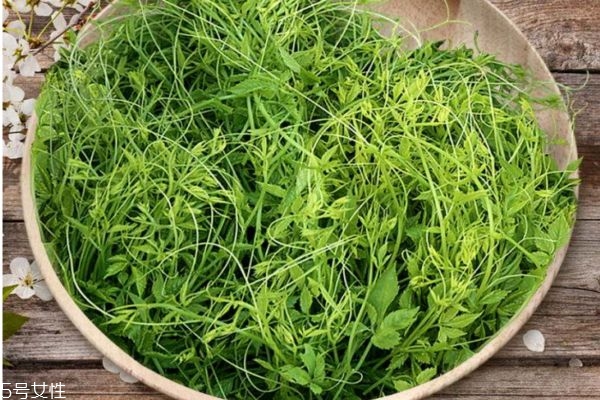 絞股藍(lán)茶哪個好 哪里產(chǎn)的絞股藍(lán)茶好 絞股藍(lán)茶哪個好 哪里產(chǎn)的絞股藍(lán)茶好