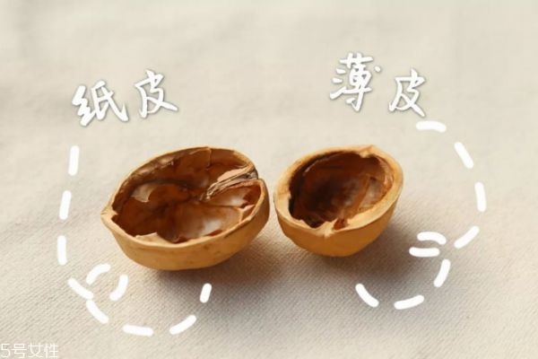 薄皮核桃價(jià)格多少錢一斤 薄皮核桃的功效與作用 薄皮核桃價(jià)格多少錢一斤 薄皮核桃的功效與作用