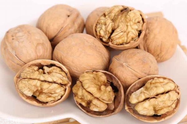 薄皮核桃產(chǎn)地哪里的好 薄皮核桃品種 薄皮核桃產(chǎn)地哪里的好 薄皮核桃品種