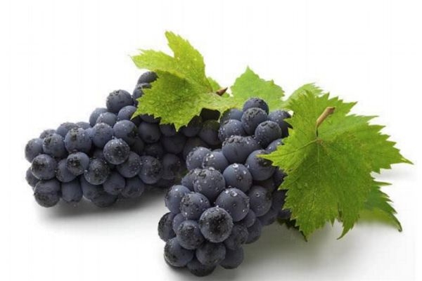 孕婦能吃葡萄嗎 孕婦吃葡萄好處多 孕婦能吃葡萄嗎 孕婦吃葡萄好處多