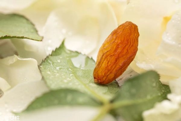 新疆葡萄干價格多少錢一斤 新疆葡萄干黑加侖 新疆葡萄干價格多少錢一斤 新疆葡萄干黑加侖