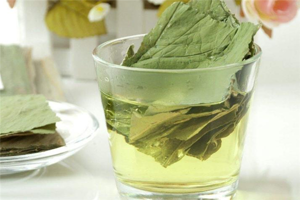 荷葉茶適合哪些人喝 荷葉茶適合人群 荷葉茶適合哪些人喝 荷葉茶適合人群