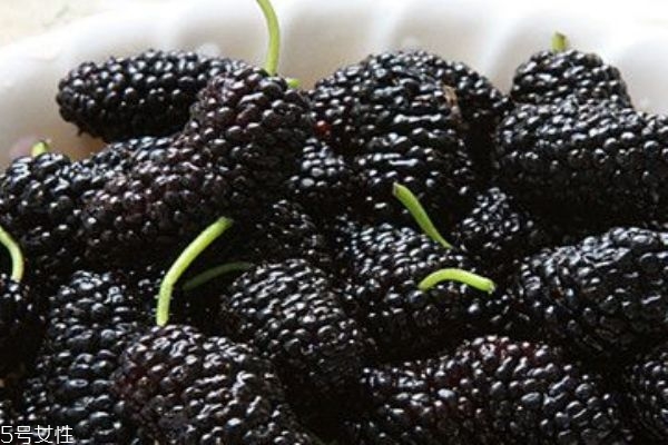 桑葚把手染了怎么洗 桑葚吃了為什么會變色 桑葚把手染了怎么洗 桑葚吃了為什么會變色