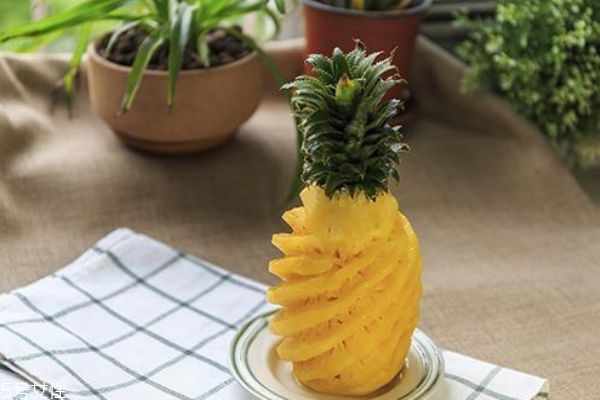 晚上吃菠蘿能減肥嗎 晚上吃菠蘿減肥靠譜么 晚上吃菠蘿能減肥嗎 晚上吃菠蘿減肥靠譜么