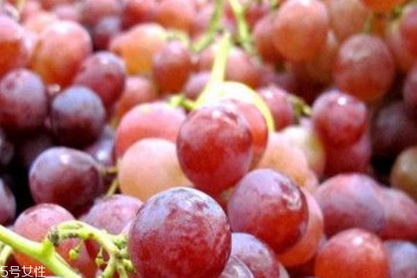 提子是幾月份的水果 夏末秋初 提子是幾月份的水果 夏末秋初