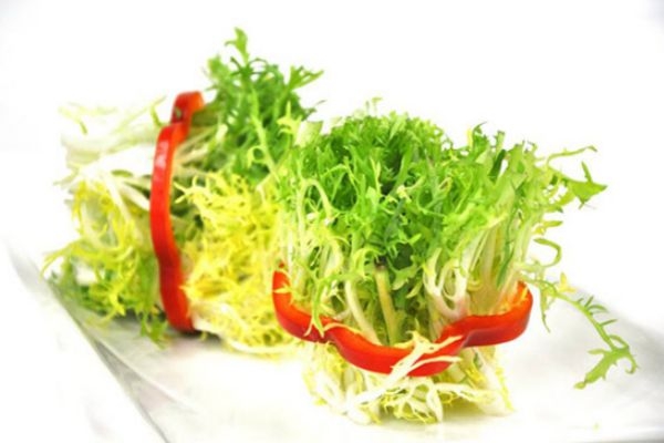 孕婦能吃苦菊嗎 孕婦適量吃苦菊有好處 孕婦能吃苦菊嗎 孕婦適量吃苦菊有好處