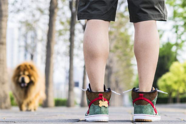 nike dunk sb遛狗配色多少錢 市場(chǎng)價(jià)已翻倍