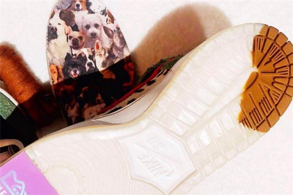nike dunk sb遛狗配色多少錢 市場(chǎng)價(jià)已翻倍