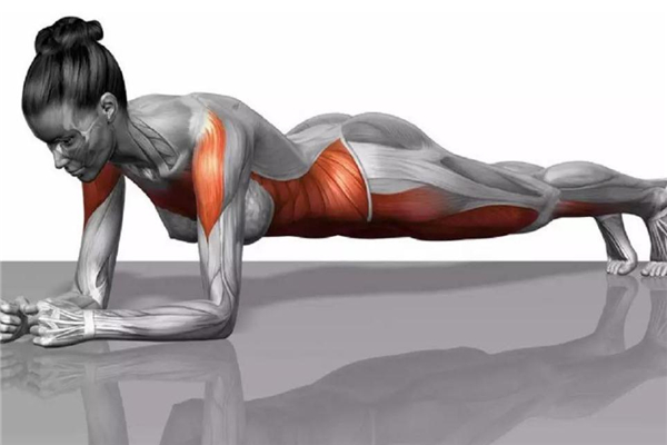 產(chǎn)后腹直肌分離如何康復 腹直肌分離鍛煉方法