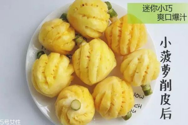 泰國小菠蘿為啥那么甜 泰國小菠蘿的特色 泰國小菠蘿為啥那么甜 泰國小菠蘿的特色