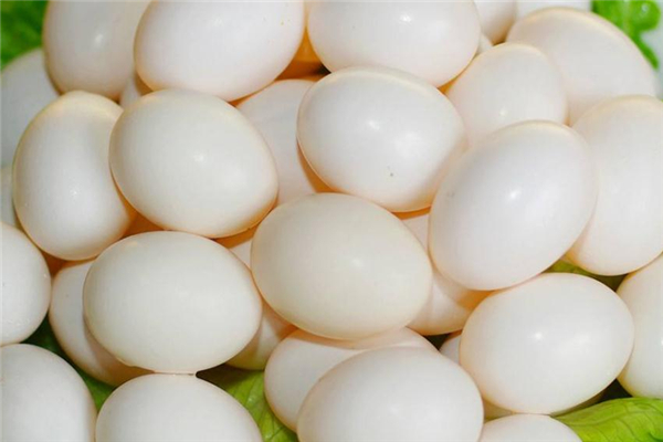 鴿子蛋吃了會(huì)上火嗎 避開(kāi)熱性食物 鴿子蛋吃了會(huì)上火嗎 避開(kāi)熱性食物