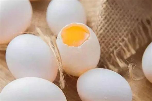 鴿子蛋怎么保存 鴿子蛋能放多久 鴿子蛋怎么保存 鴿子蛋能放多久