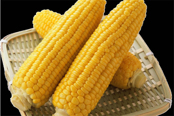 主食有哪些 主食對人體很重要 主食有哪些 主食對人體很重要