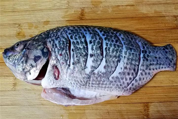 羅非魚為什么那么便宜 產(chǎn)量較多 羅非魚為什么那么便宜 產(chǎn)量較多